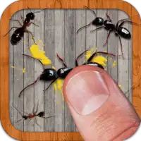 Ant Smasher by Best Cool & Fun