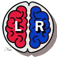 Left vs Right Lite - Brain Gam