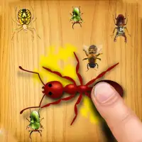 Ant Smasher Game