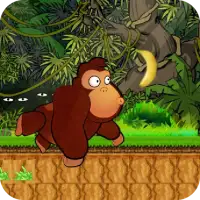 Jungle Monkey 2