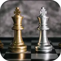 The Chess 3D