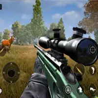 Deer Hunting Jungle Simulator