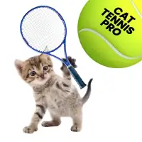 Cat Tennis Pro