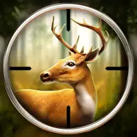 Deer Hunter!