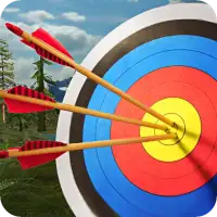 3Boyutlu Okçu Uzmanı - Archery