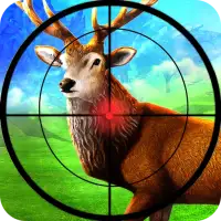 Deer Hunter