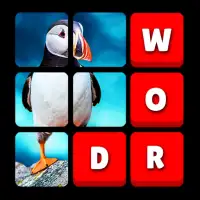 Word Connect -Crossword Puzzle