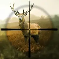 Hunting Simulator