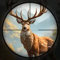 Animal Hunter Shooting Game 3D