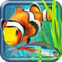 Fish Farm 2