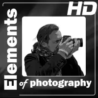 Elements of Photography