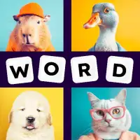 4 resim 1 kelime - Guess Word