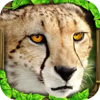 Cheetah Simulator