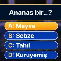 Milyoner 2025 - Test Oyunu