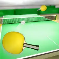 Masa Tenisi - Ping Pong