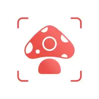 Picture Mushroom - Mushroom ID
