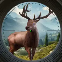 Trophy Hunter - Rahat Avcılık