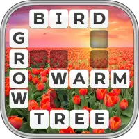 Word Wiz - Connect Words Game