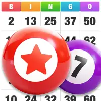 Let's Bingo Fun:jackpot party