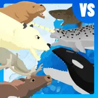 Polar Bear Fight Arctic Animal