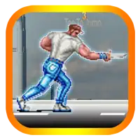 Final Fighter 2024