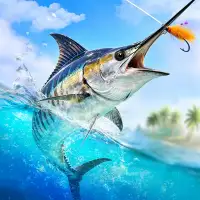 Fishing Travel