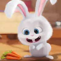 Talking Bunny – Virtual Pet