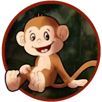 RUN MONKEY RUN